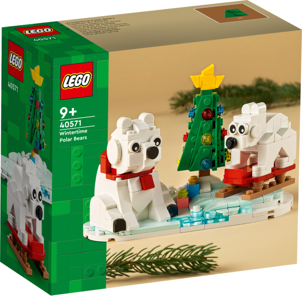 LEGO® 40571 Eisbären im Winter